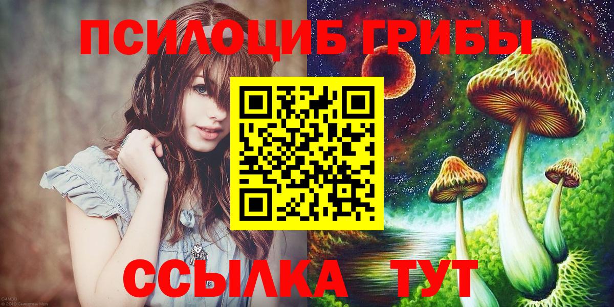 Псилоцибиновые грибы ЛСД Дальнереченск
