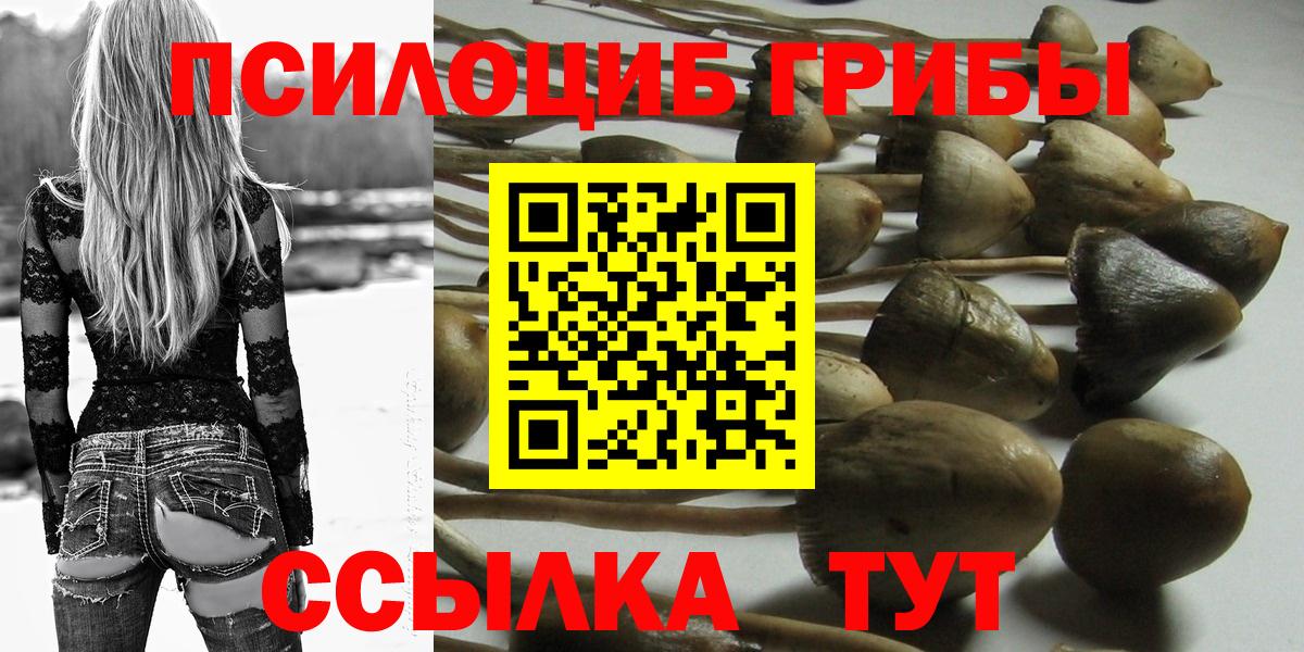 как найти наркотики  Псилоцибиновые грибы мицелий  Вход с VPN  Дальнереченск 